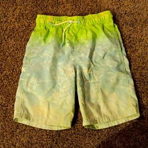 Cat and Jack Green and Teal size 8 Boys Swim Trunks